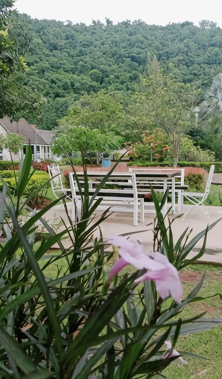 ห้องพักสำหรับครอบครัวพร้อมวิวภูเขา