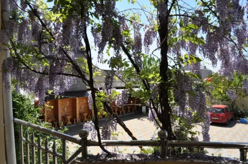 Hotel Grand Uyut Hotels in Krasnodar