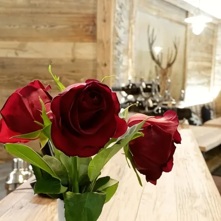 Amber Ski-in/Out Hotel & Spa