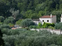 Vederi Estate - Homestays