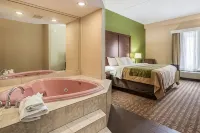Comfort Inn & Suites Panama City North - Wifi