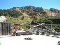 Manza Onsen Nisshinkan - Varme kilder