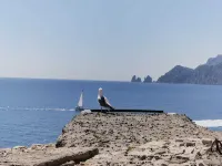 GaLu - Small apartment on the Sorrento/Amalfi coast - 2 estrellas