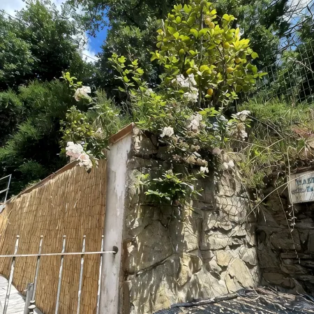 Vacanze toscane relax e privacy