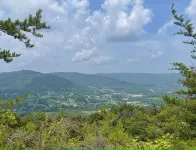 Mountain Top Retreat with ATV Route Access