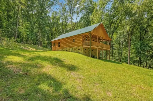Homey Cozy Dog Friendly Cabin Surrounded by Beautiful Mountain Trees w/Hot Tub+