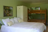 Amazing property & Shasta views, private lake, dark skies, close to everything - Homestays