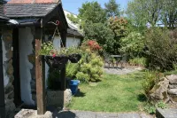 1 bedroom barn conversion on smallholding with alpacas, goats and pigs - Wifi