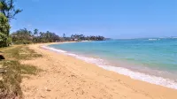 It's All about the View! Oceanfront, A/C, Elevator - ビーチサイド
