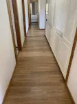 Spacious, Sunny House with View of Mt. Wellington