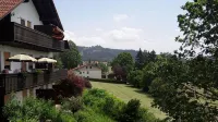 Ferienwohnung Panoramablick 2Südhanglage Mit Terrasse.Bodenmais,Arber Region - Wifi