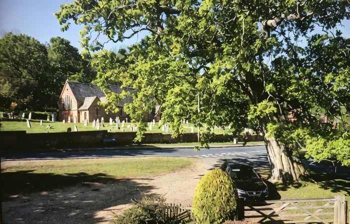 Delightful New Forest Cottage in Idyllic Village
