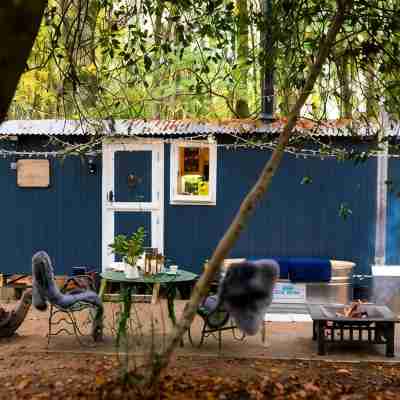 If you go into the woods today... Off-grid yet comfy, warm and luxurious Hotel Exterior