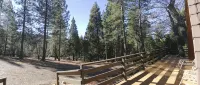 Chalet Near Apple Hill, Sly Park Jenkinson Lake,Placerville Winetasting, Skiing - Chalets