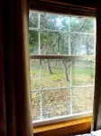 Wildflowers Cabin @ HomeAway Ranch