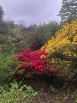 Luxury self catering holiday let in west of Scotland, near Glasgow - 3 ดาว
