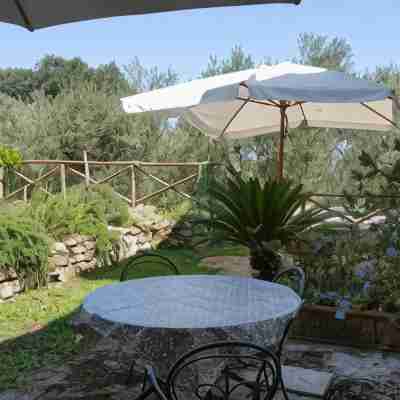 Gli Ulivi Agriturismo Hotel Exterior