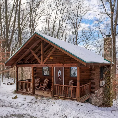 Bear Hugs cabin nestled in the woods.