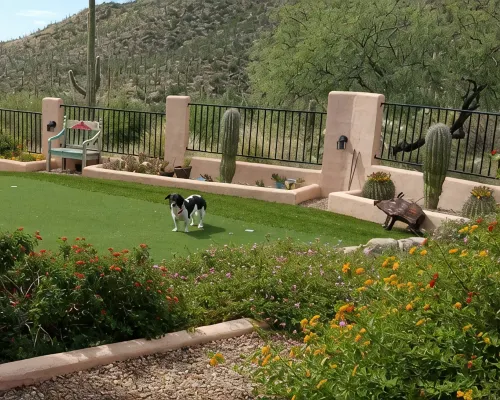 AWESOME Sunsets by the Heated Pool, putting green, hot tub & Tucson Night Lights Hotels in Tanque Verde