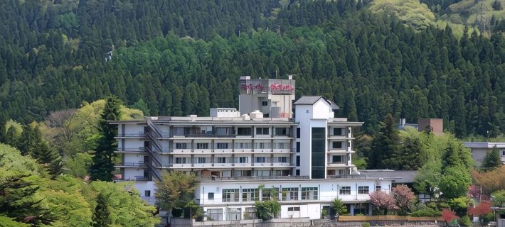 Sarugakyo Hotel Hotels in Tone District