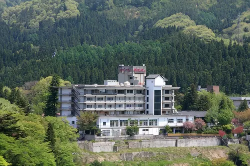 Sarugakyo Hotel - spa