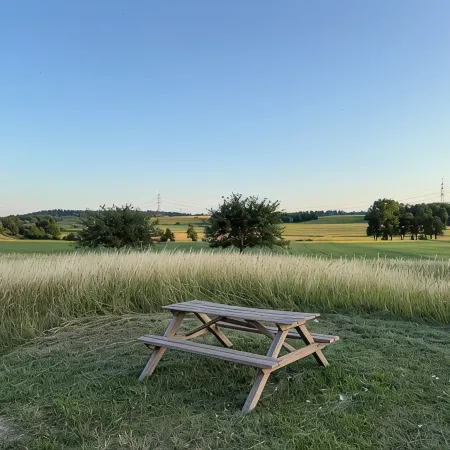 Horizon 360°