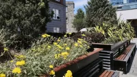 Griffith Halls of Residence - Holiday Apartments