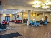 Comfort Suites University Brookings Hotels in Brookings