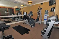 Fox Hotel and Suites - Gym