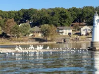 New lake view rental on Wolfcreek with boat ramp and lake access across the road - Wifi