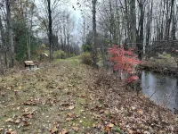 Escape to a Streamside Cabin in the Lower Catskills - Chalets