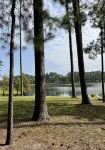Sam Rayburn Stunner (South End) - Fully Remodeled, Water View, and Water Access - Boutique