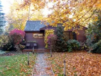 Modern and unique cottage in perfect downtown CDA location for a great getaway! - 4-Star