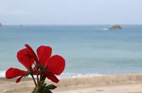 Pension Umi-No Hoshi - Разрешено размещения с домашними животными