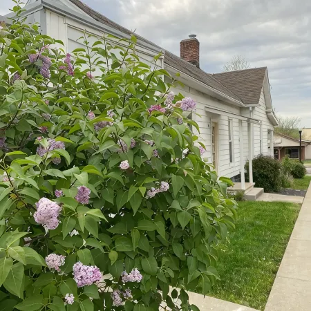 Toliver Guest House, Premier location on Main Street! Newly remodeled-spacious.