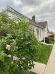 Toliver Guest House, Premier location on Main Street!  Newly remodeled-spacious. - 3 estrellas