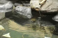 Pension Totem Pole - Bathtub