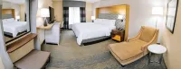 Holiday Inn & Suites STOCKBRIDGE/ATLANTA I-75 by IHG - Wifi