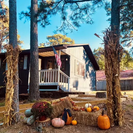 Little Owl Cabin #10 - Sleeps 6. Resort Pool&Spa, Fire Pit. Sdc 1 mi. Dogs ok!