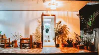 The Hangover Hostel