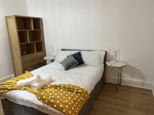 De Luxe Apartment in Leicester