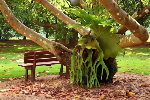 Camelot Boutique Accommodation Hotels in Mount Tamborine