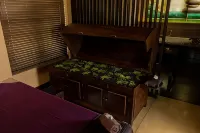 Terrace Green Hotel & Spa - spa