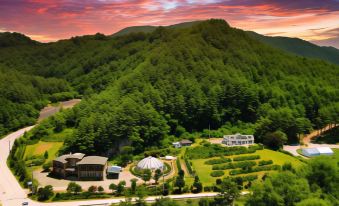 Jeongseon Forest Morning Pension
