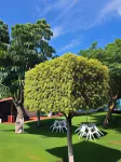 Hotel Quinta Paraiso Các khách sạn ở Cuautla