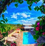 Divers Lodge Plumeria