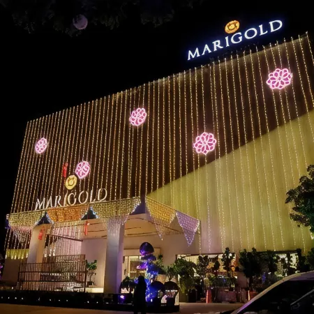 MARIGOLD-Newly Renovated Hotel Отели в г. Ширди