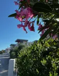 LuxArt City Spa Gallery Residence Krk