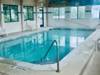 Comfort Inn & Suites Jackson North - Pool