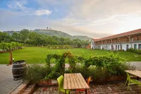 Hotel Ryzlink Hotels in Valtice